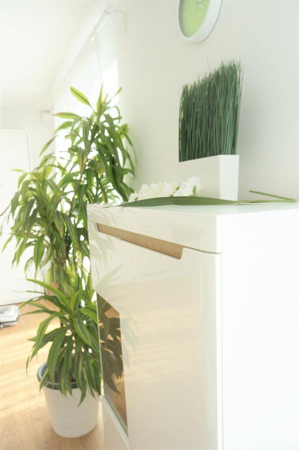 Panorama Penthouse Apartment Mit Klima Und Whirlpool Fuer Bis Zu 6 Personen 프랑켄탈 외부 사진